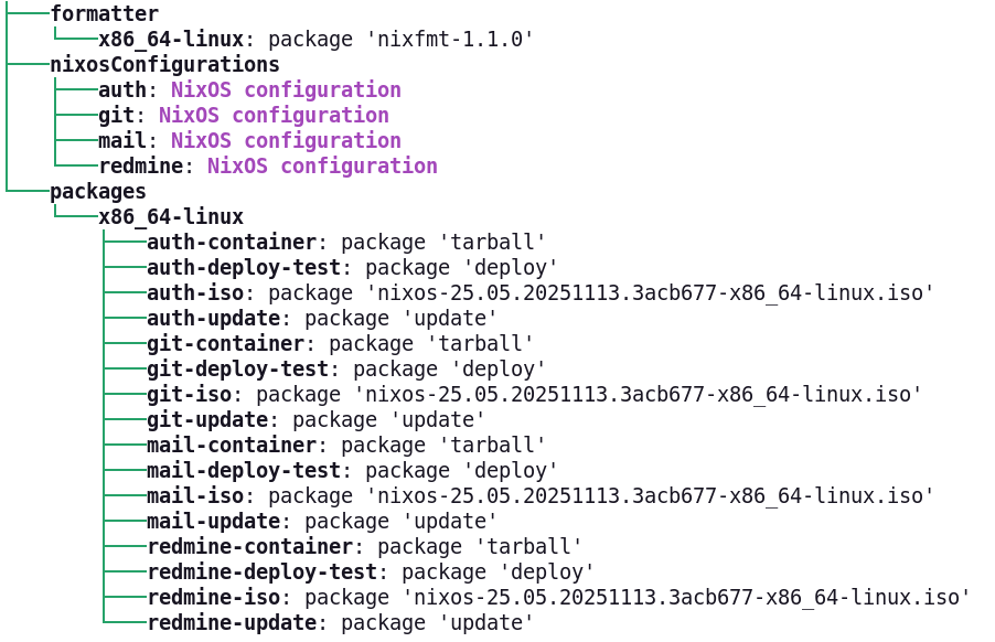 nix flake show Flake Struktur